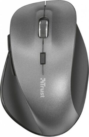 Миша Trust Ravan Wireless