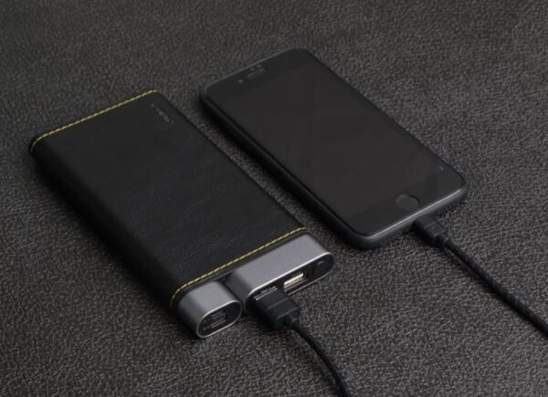 Батарея зовнішня PURIDEA X01 10000mAh Li-Pol +TYPE-C Leather Black - Зображення 2